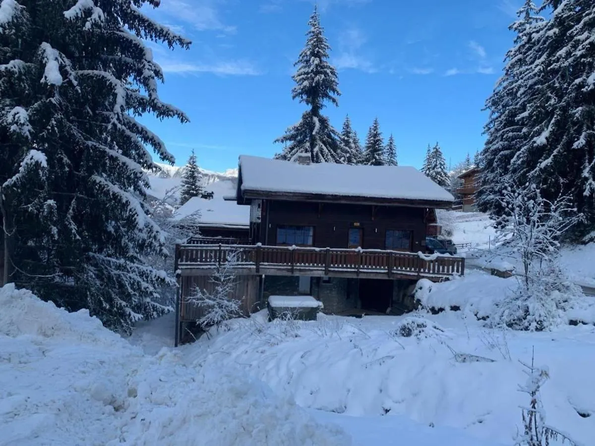 Chalet 6 Chambres Avec Jacuzzi Et Parking, La Tania - Fr-1-513-72 0*,  France